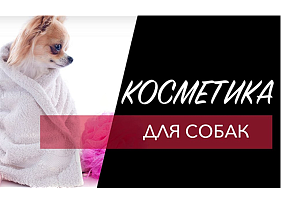 Косметика для собак и упаковка для нее
